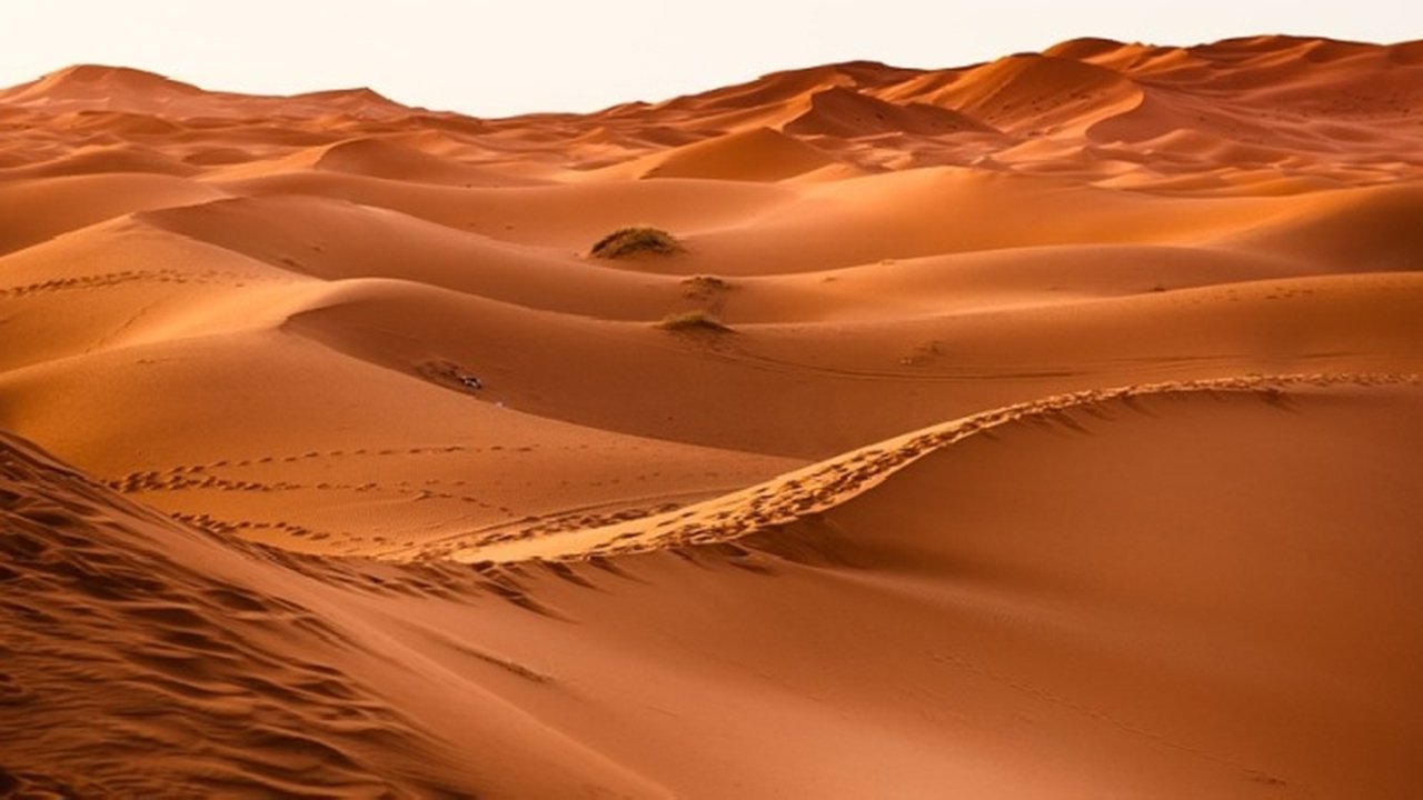 Backdrop image for movie Moses