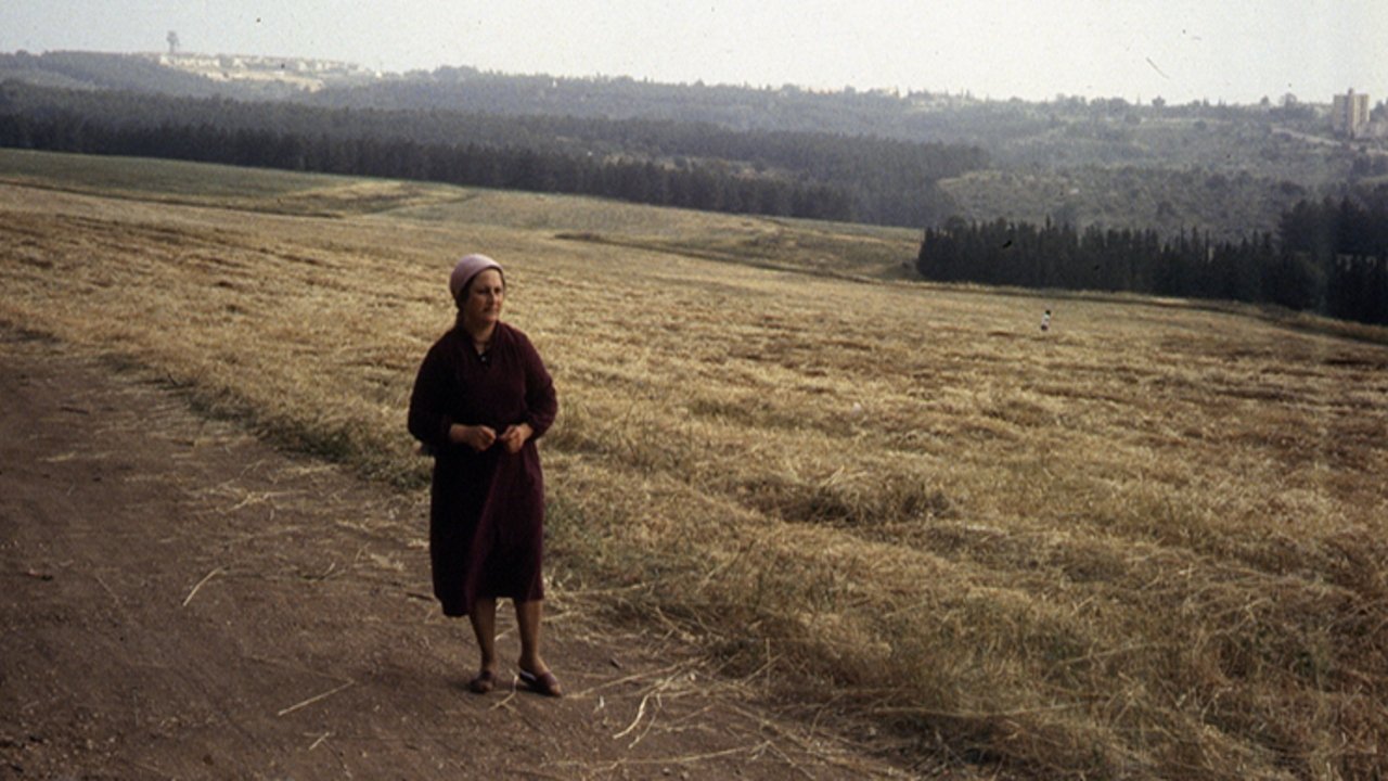 Backdrop image for movie Fertile Memory