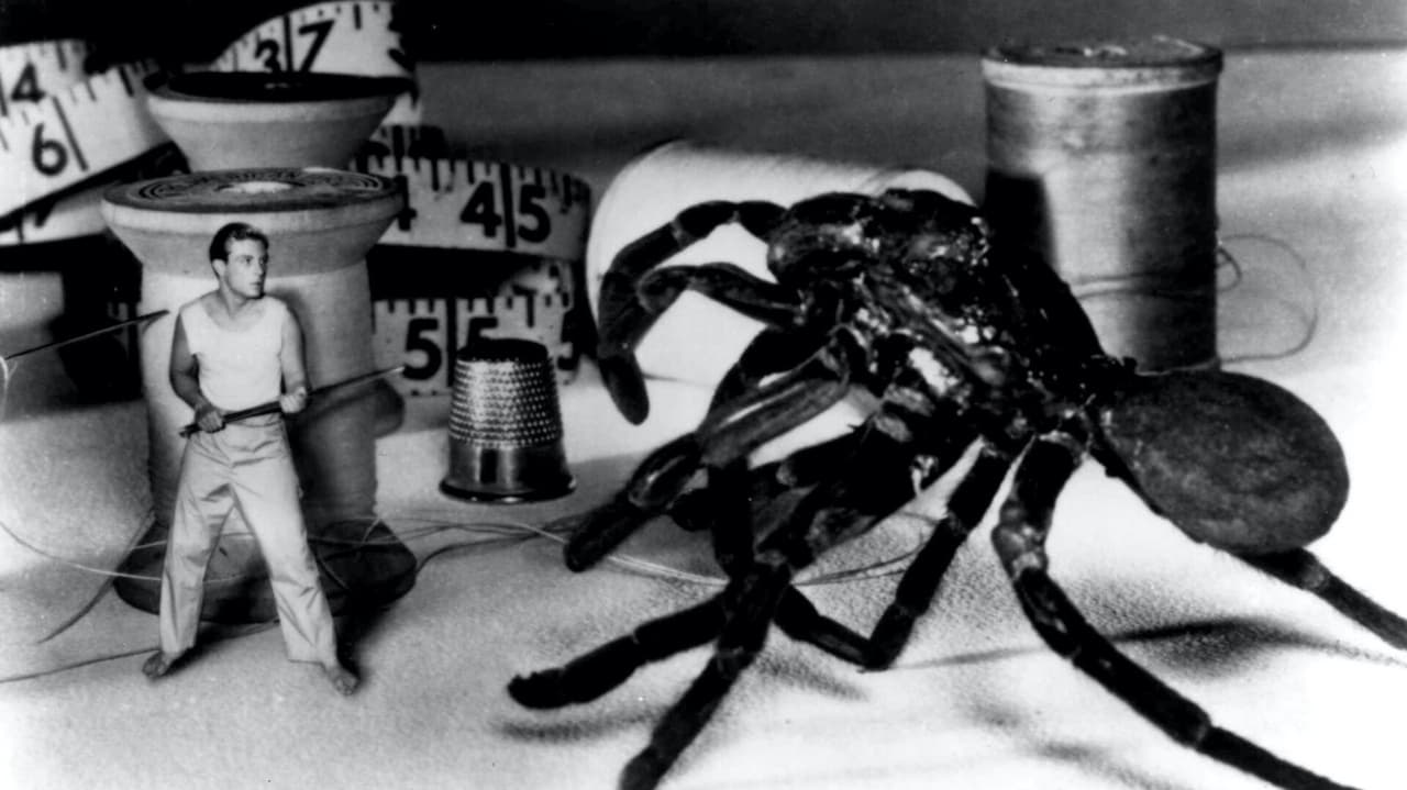Backdrop image for movie The Incredible Shrinking Man