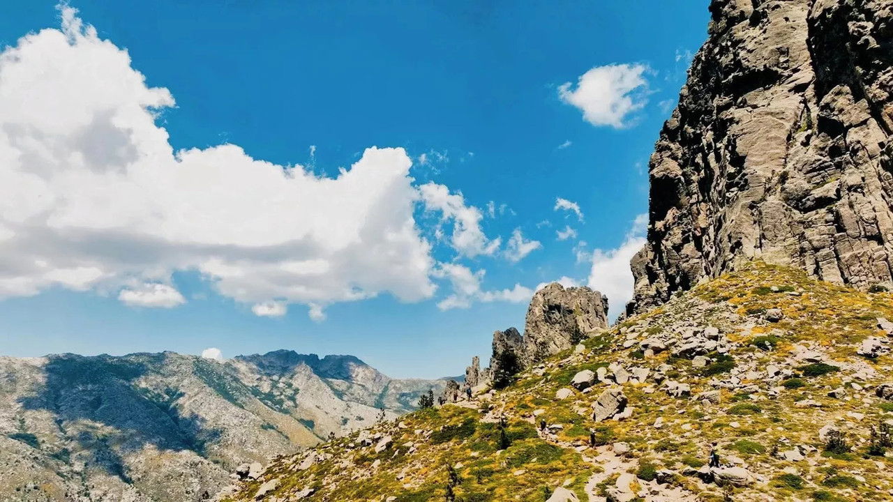 Backdrop image for movie Ce Qui Compte