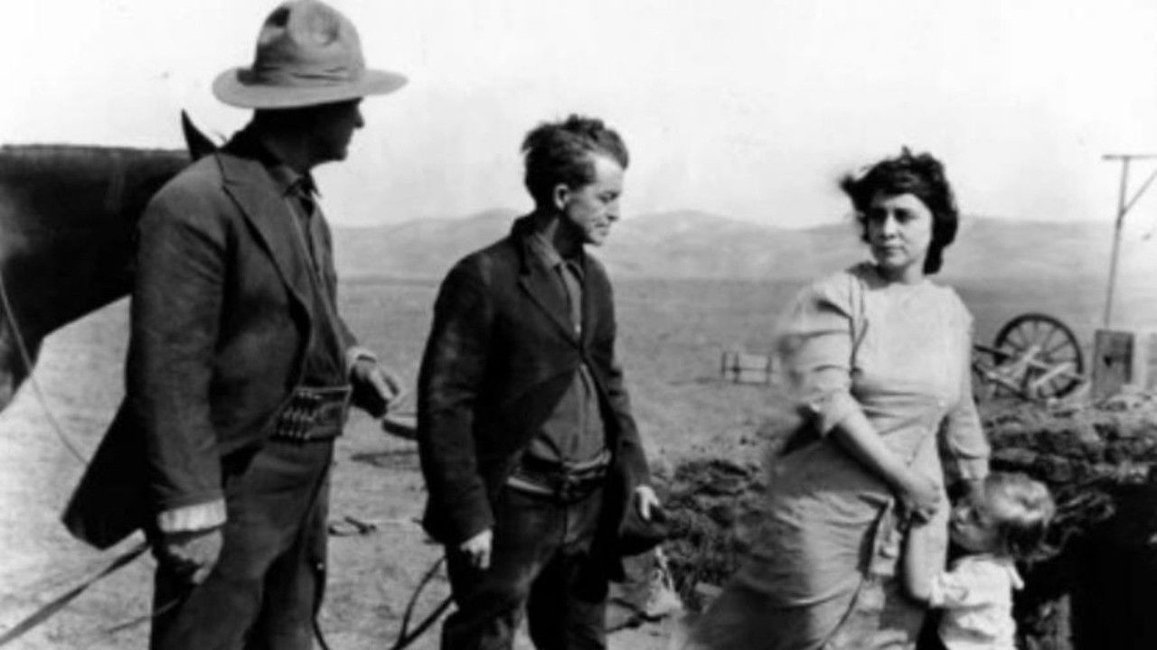 Backdrop image for movie The Lady of the Dugout