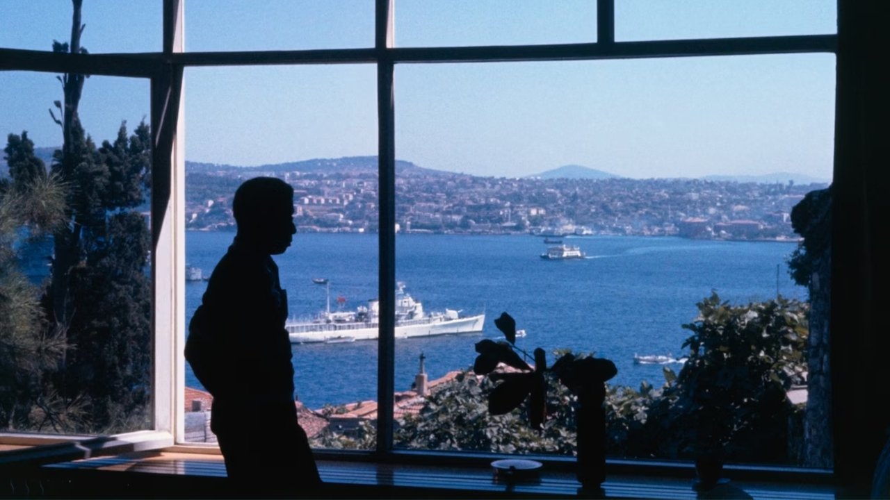 Backdrop image for movie James Baldwin: From Another Place
