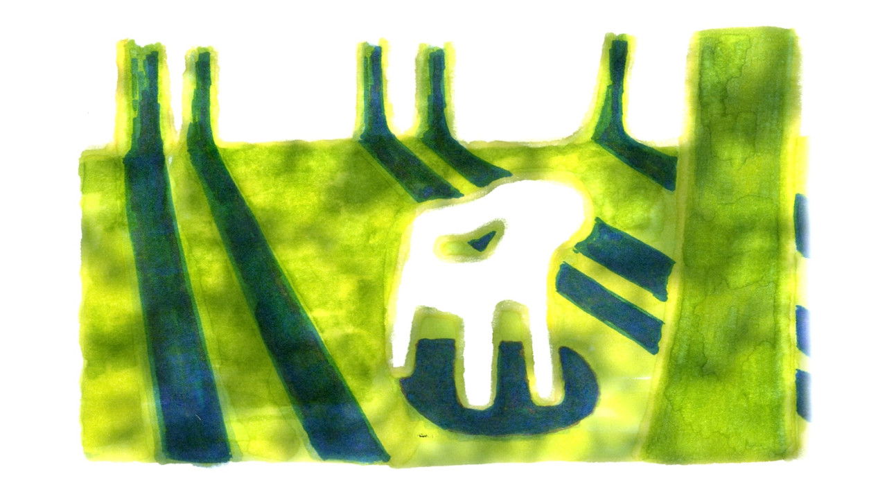 Backdrop image for movie Pour ne pas oublier l'invisible