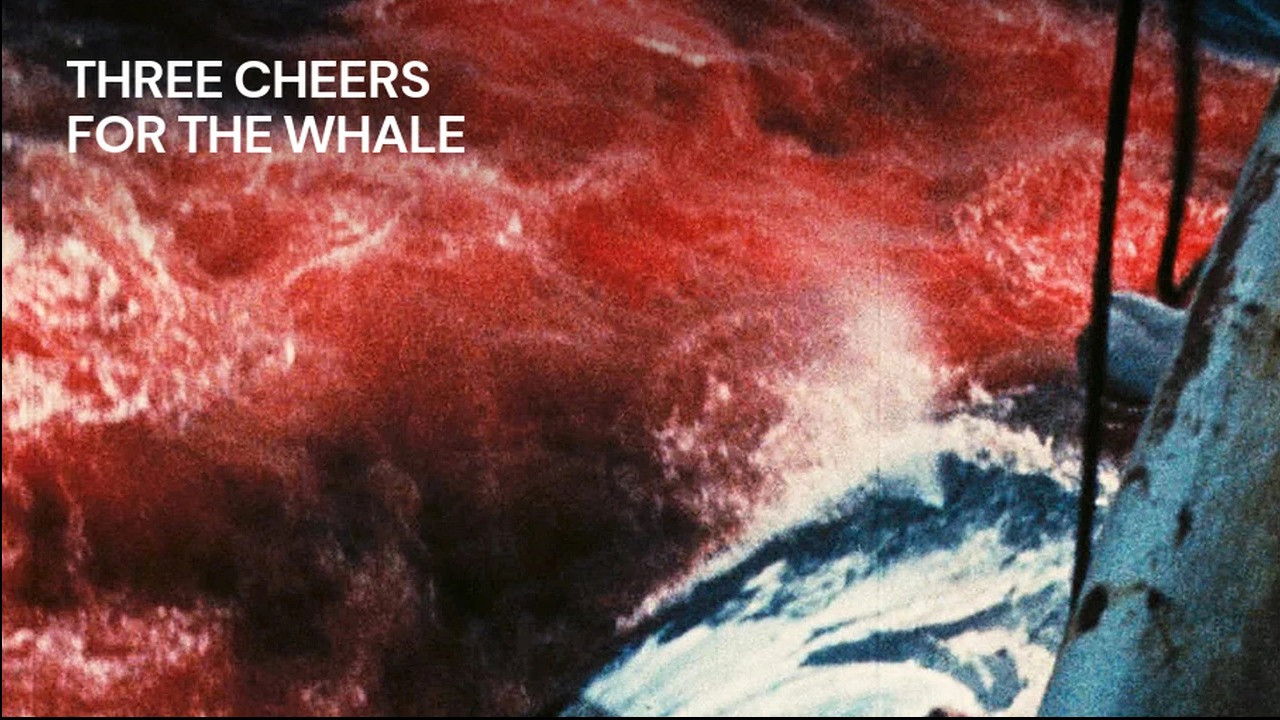 Backdrop image for movie Three Cheers for the Whale