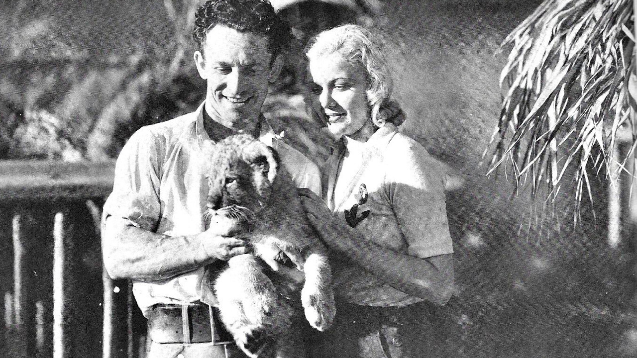 Backdrop image for movie The Lost Jungle