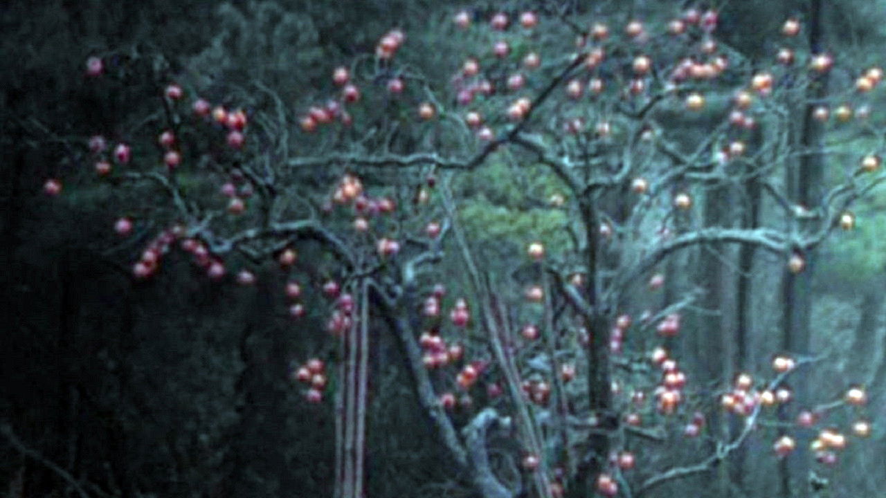 Backdrop image for movie Elegy of a Voyage