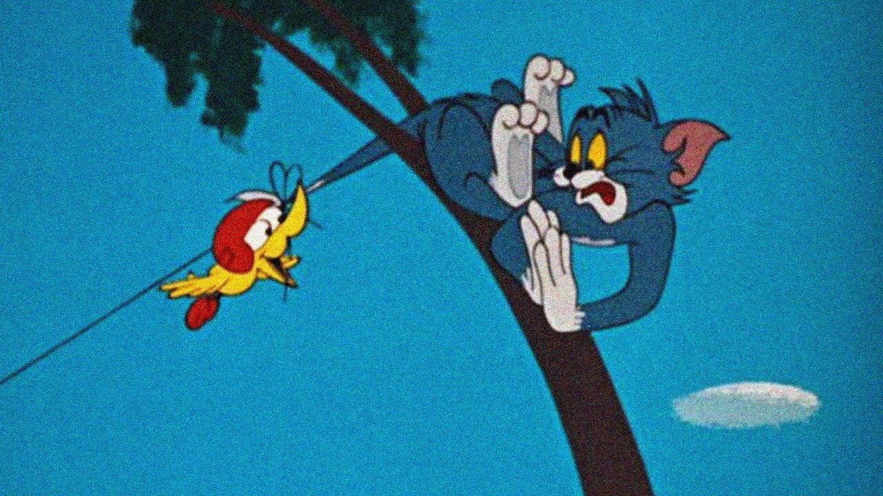Backdrop image for movie Landing Stripling