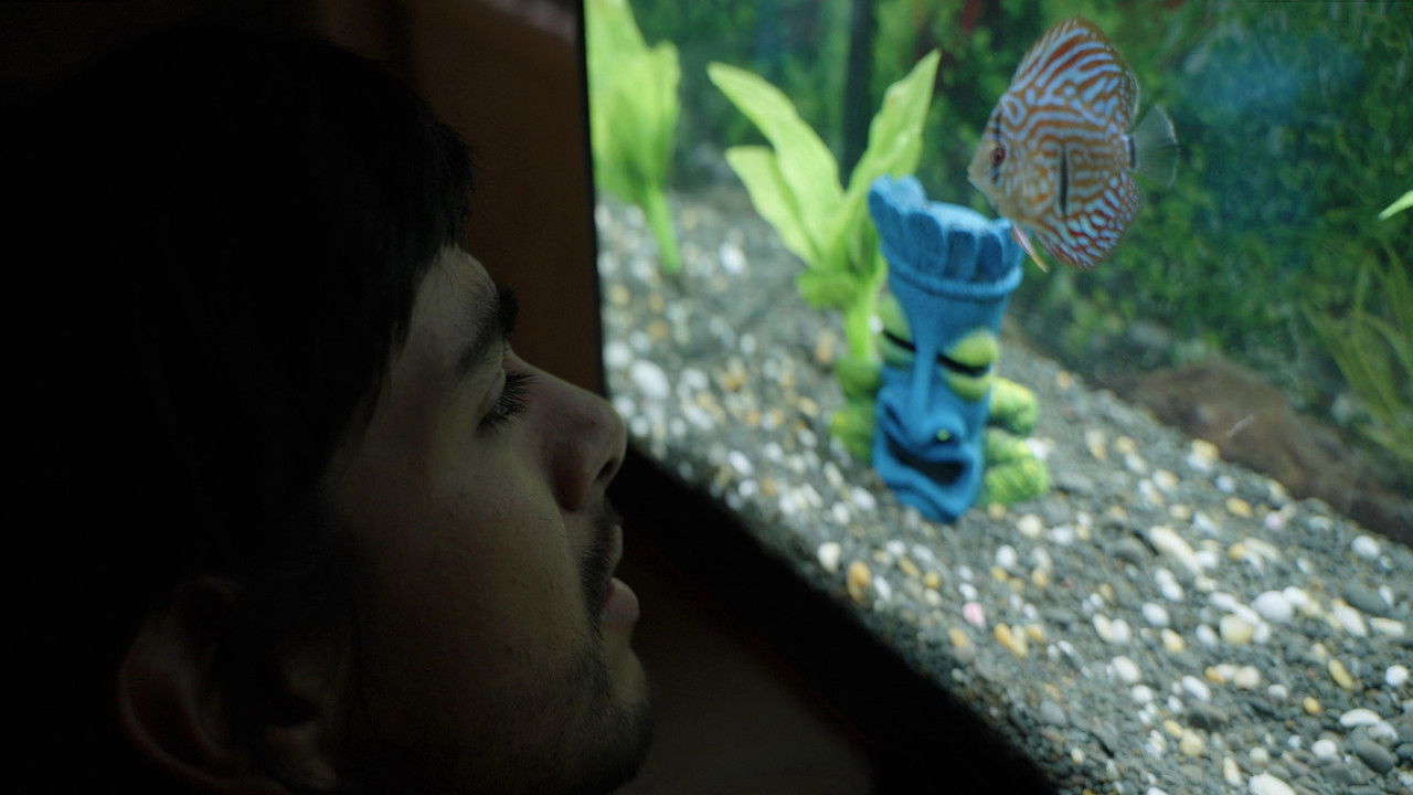 Backdrop image for movie Notes from a Fish