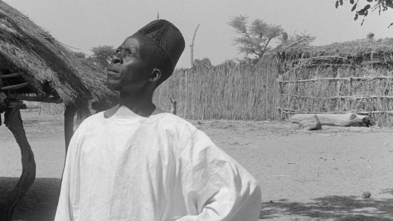 Backdrop image for movie Niaye