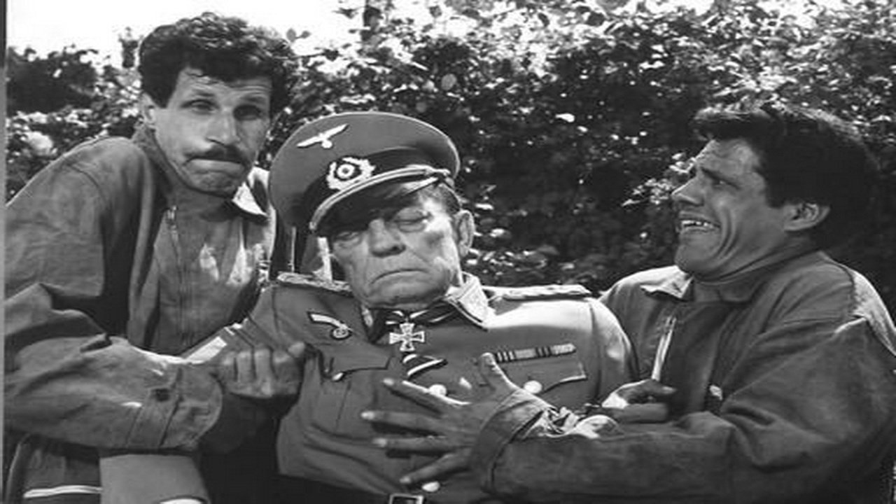 Backdrop image for movie War Italian Style