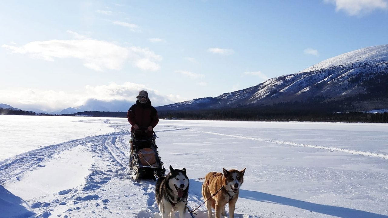 Backdrop image for movie The Call of the Far North