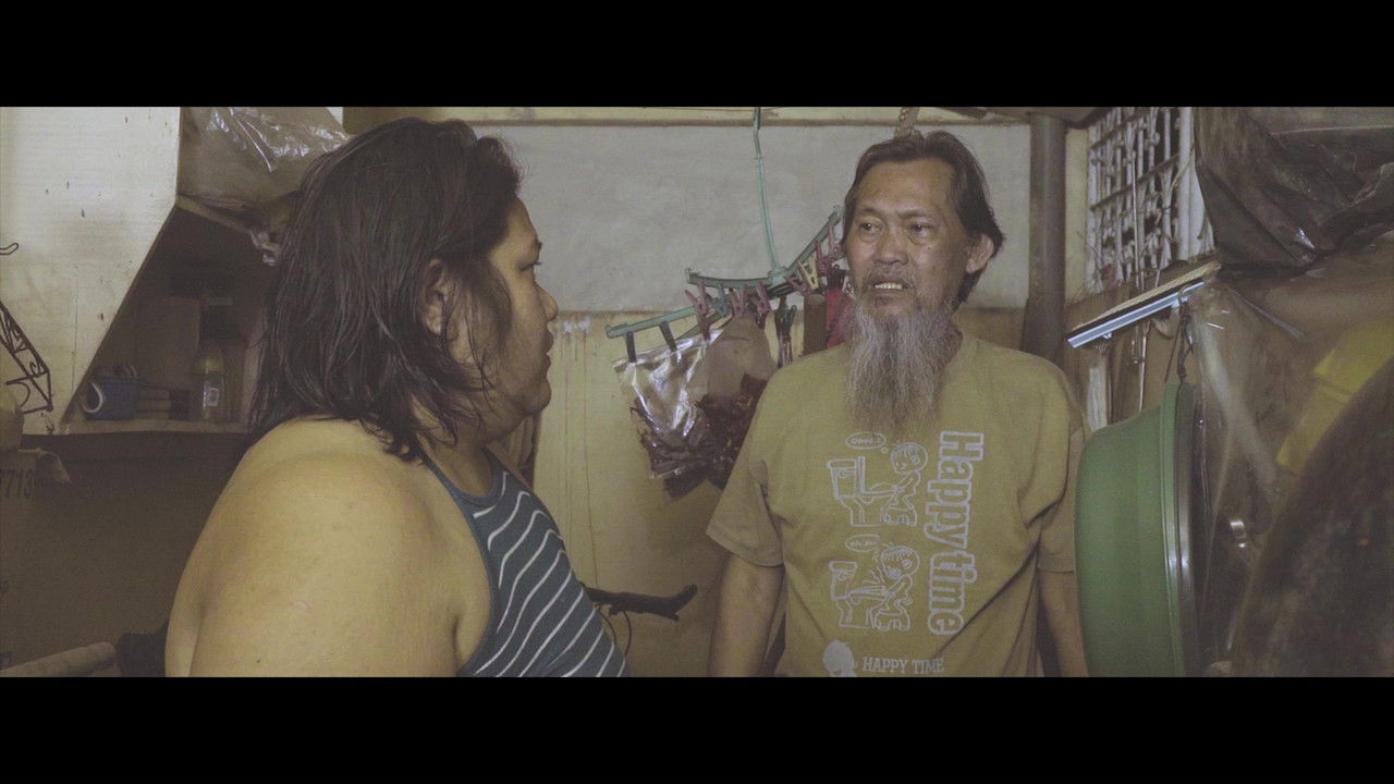 Backdrop image for movie The Plumber