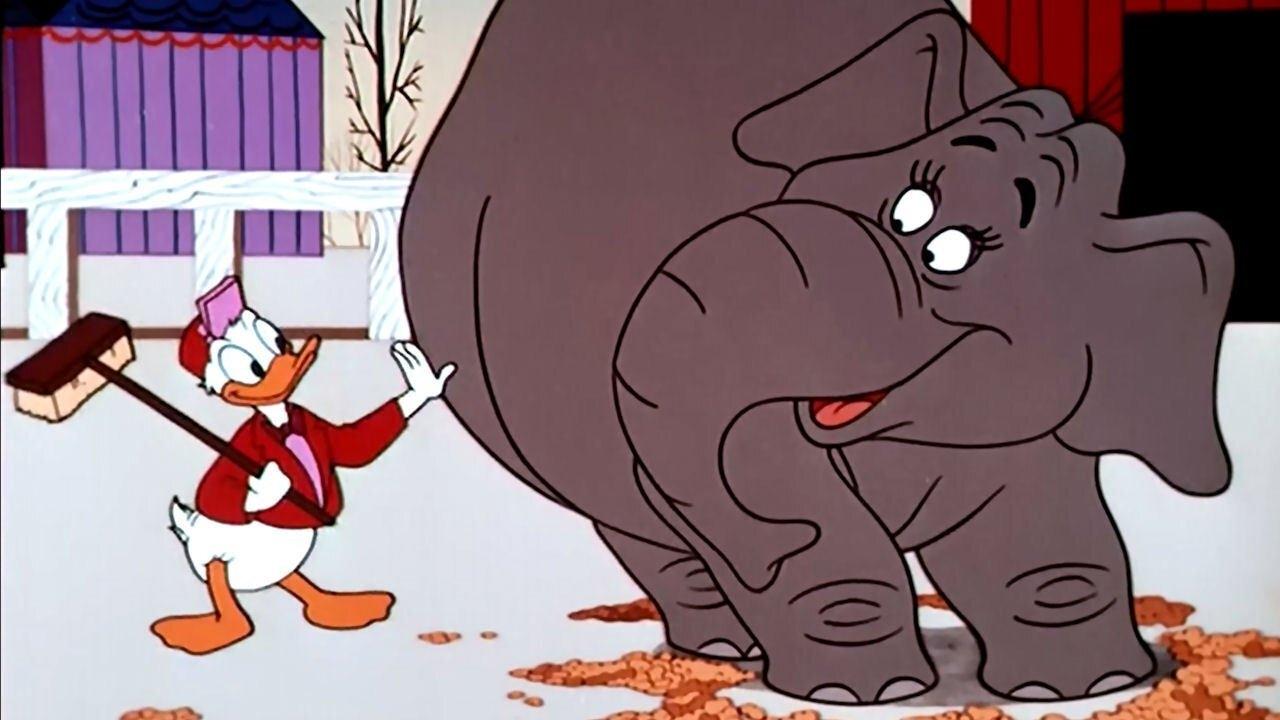 Backdrop image for movie Working for Peanuts