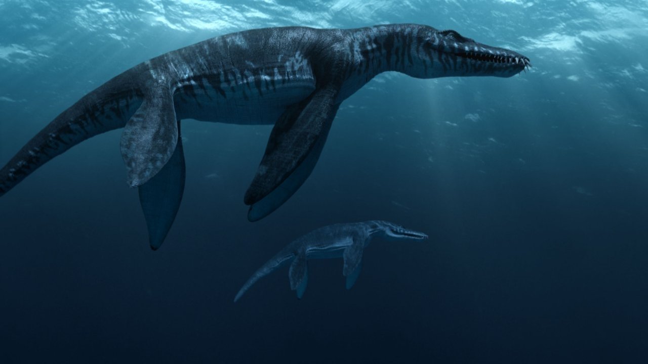 Backdrop image for movie Sea Rex 3D: Journey to a Prehistoric World