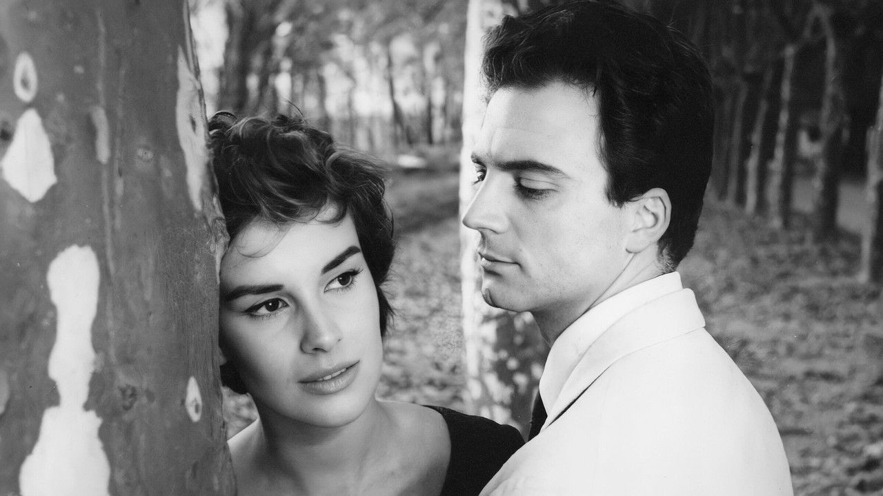 Backdrop image for movie Young Husbands