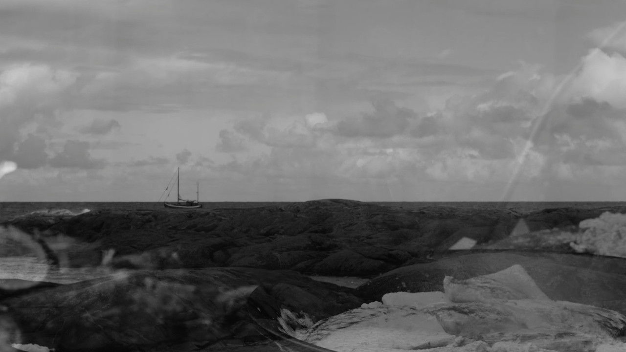 Backdrop image for movie Fie