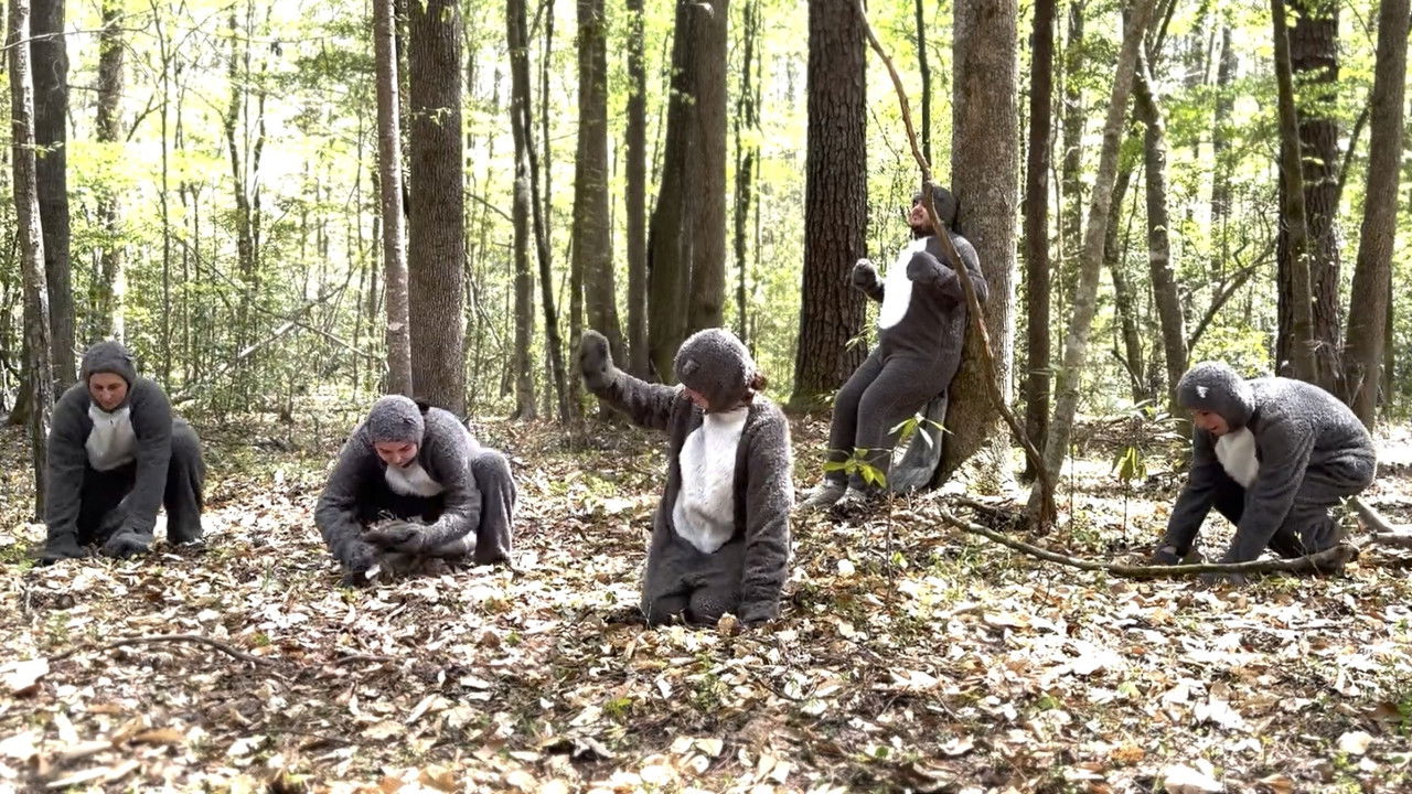 Backdrop image for movie Nature Planet: Squirrels