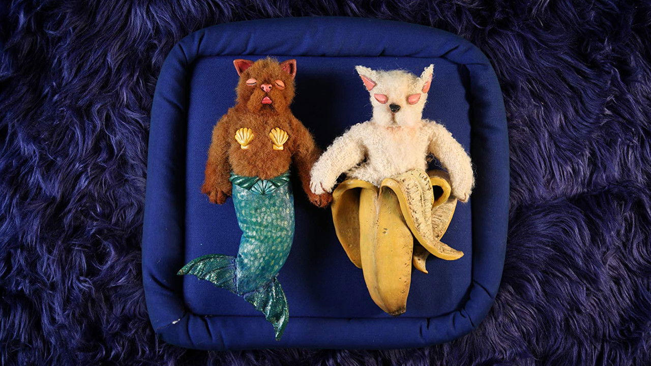 Backdrop image for movie Under Covers