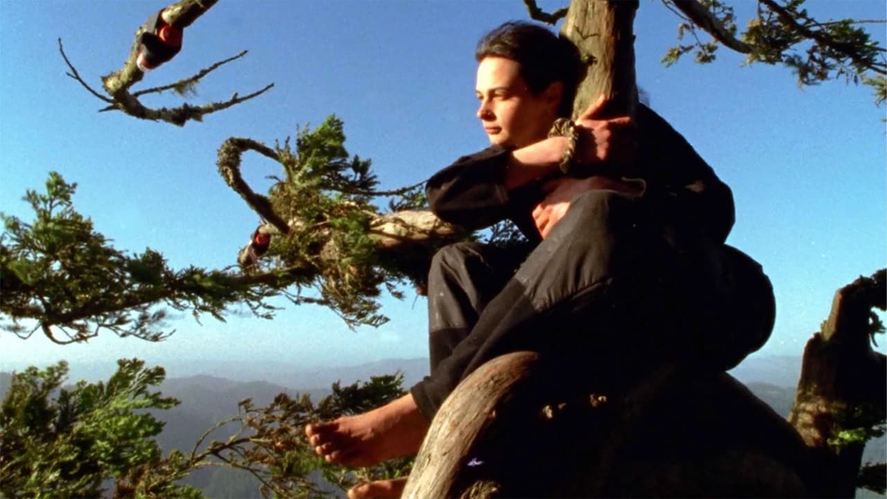Backdrop image for movie Butterfly