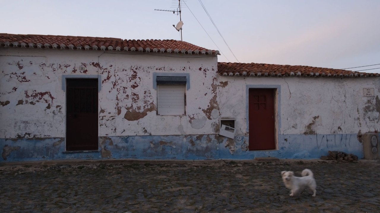 Backdrop image for movie Ceifeira