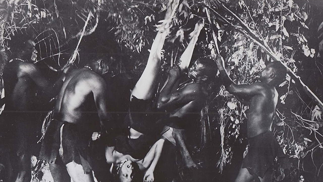 Backdrop image for movie Miss Robin Crusoe