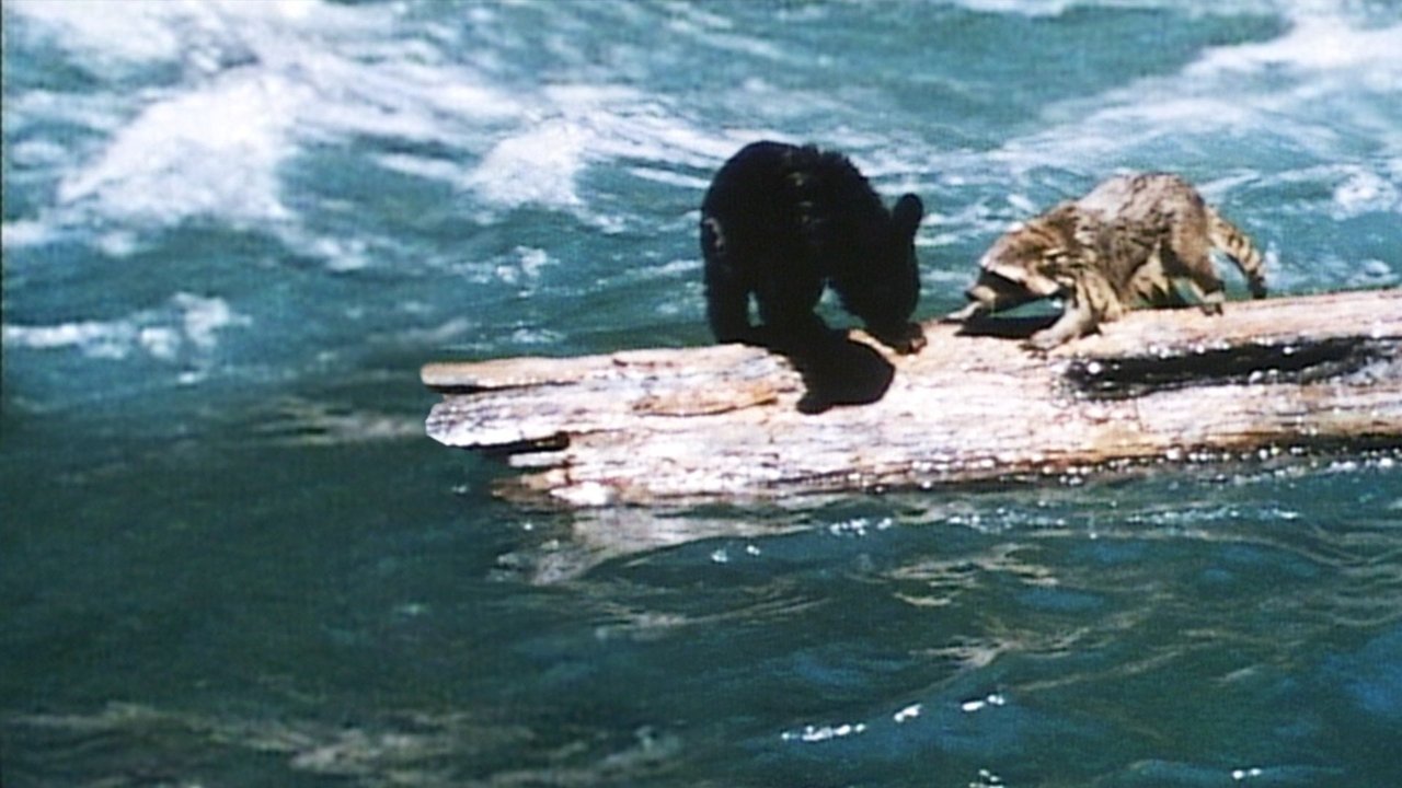 Backdrop image for movie A Tale of Two Critters