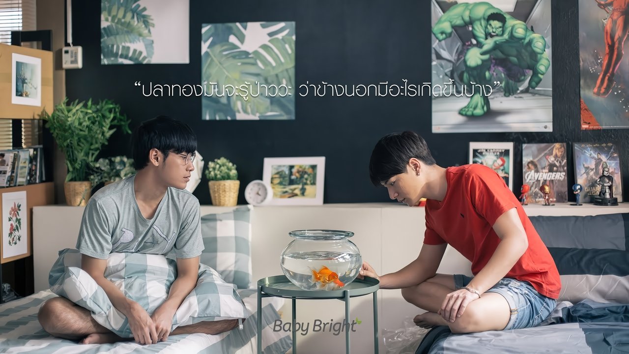 Backdrop image for movie My Baby Bright
