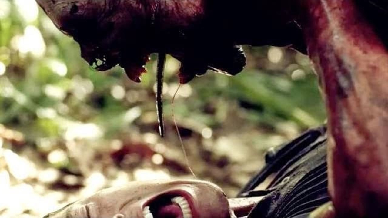 Backdrop image for movie Indigenous