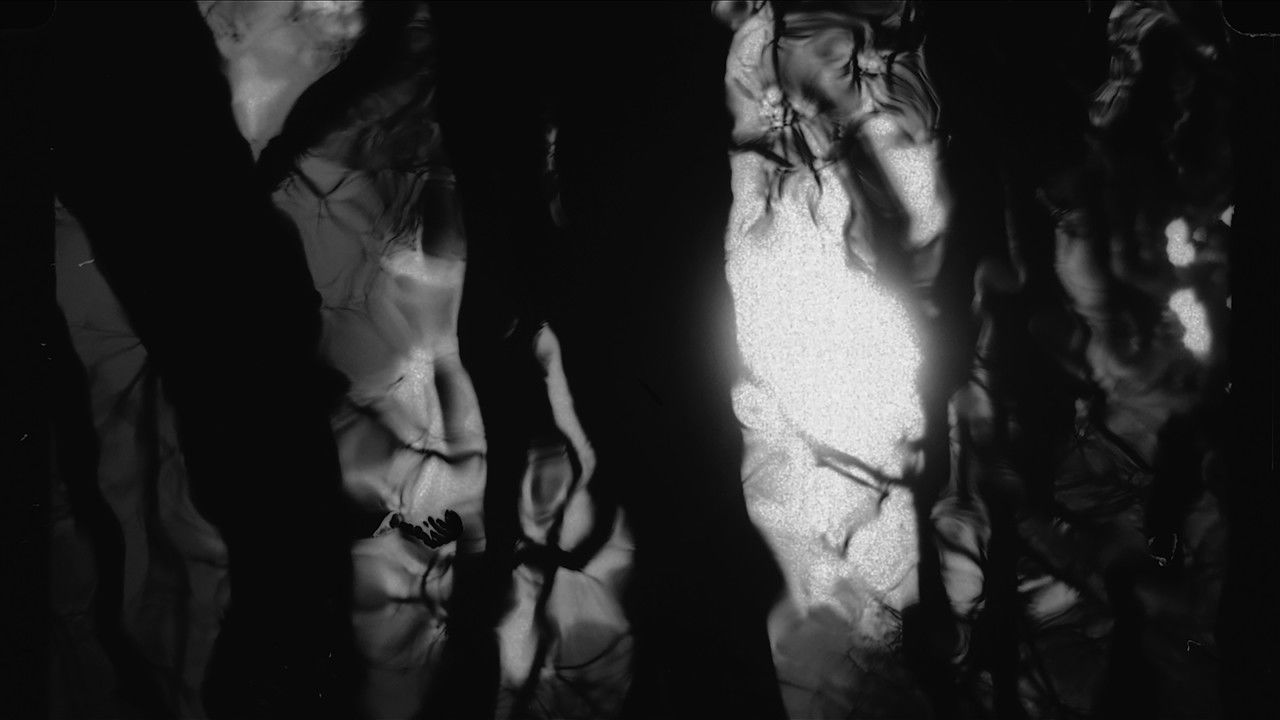 Backdrop image for movie Black River