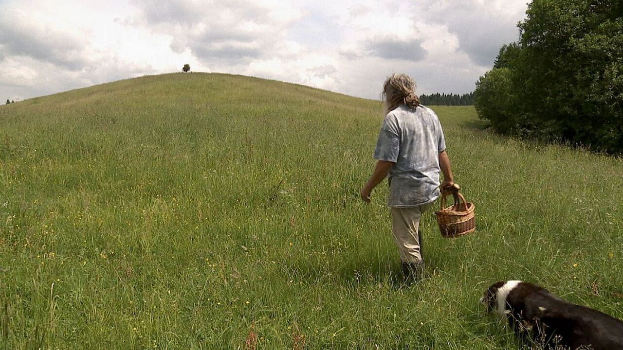 Backdrop image for movie Auf der Suche nach Heilern