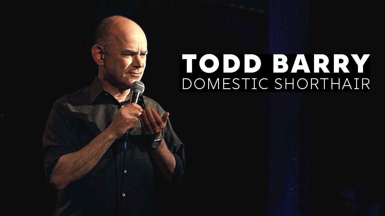 Backdrop image for movie Todd Barry: Domestic Shorthair