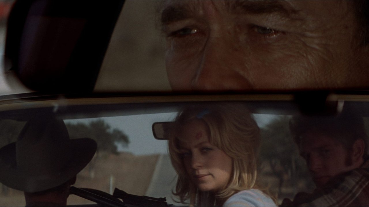 Backdrop image for movie The Sugarland Express