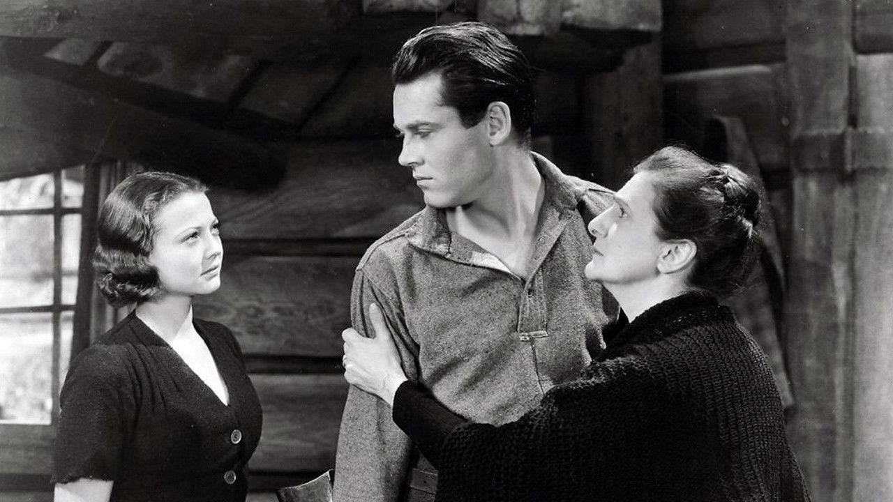 Backdrop image for movie The Trail of the Lonesome Pine