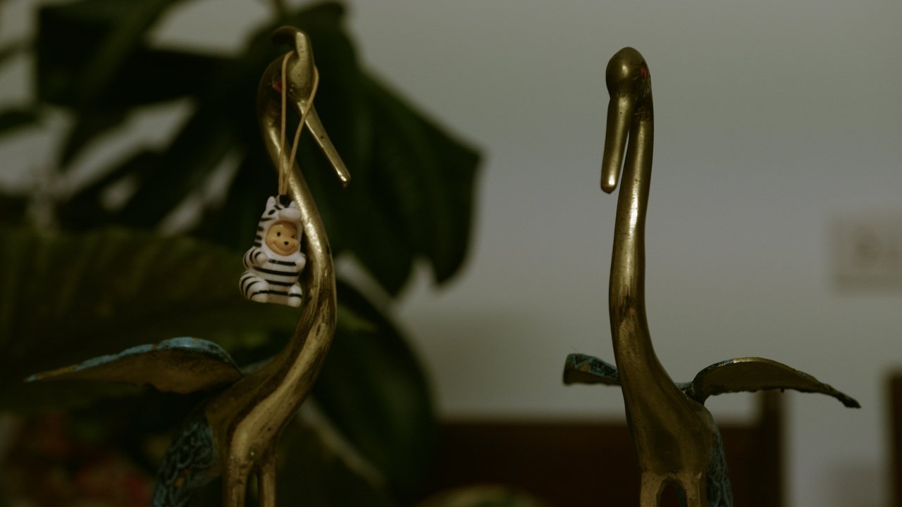 Backdrop image for movie O tecido da memoria (My room number is cucumber)