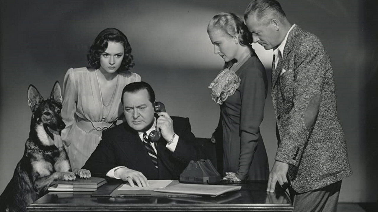 Backdrop image for movie Eyes in the Night