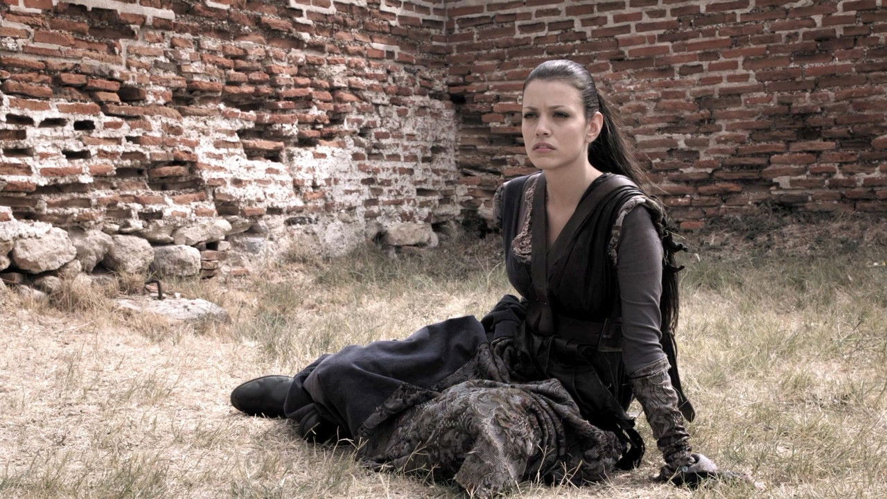 Backdrop image for movie In the Name of the King III