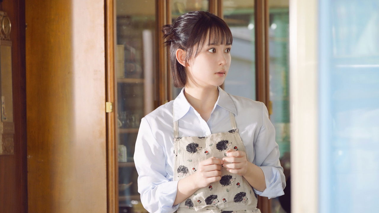 Backdrop image for movie Please Excuse My Younger Brothers