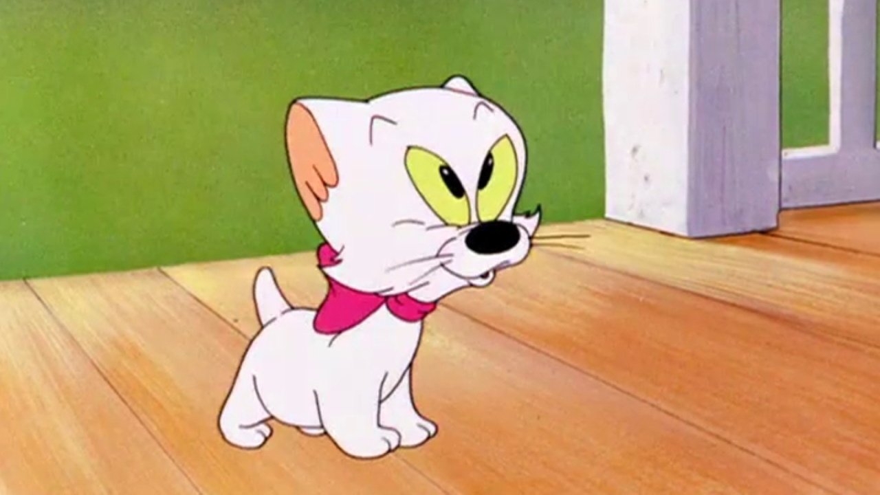 Backdrop image for movie Kiddin' the Kitten