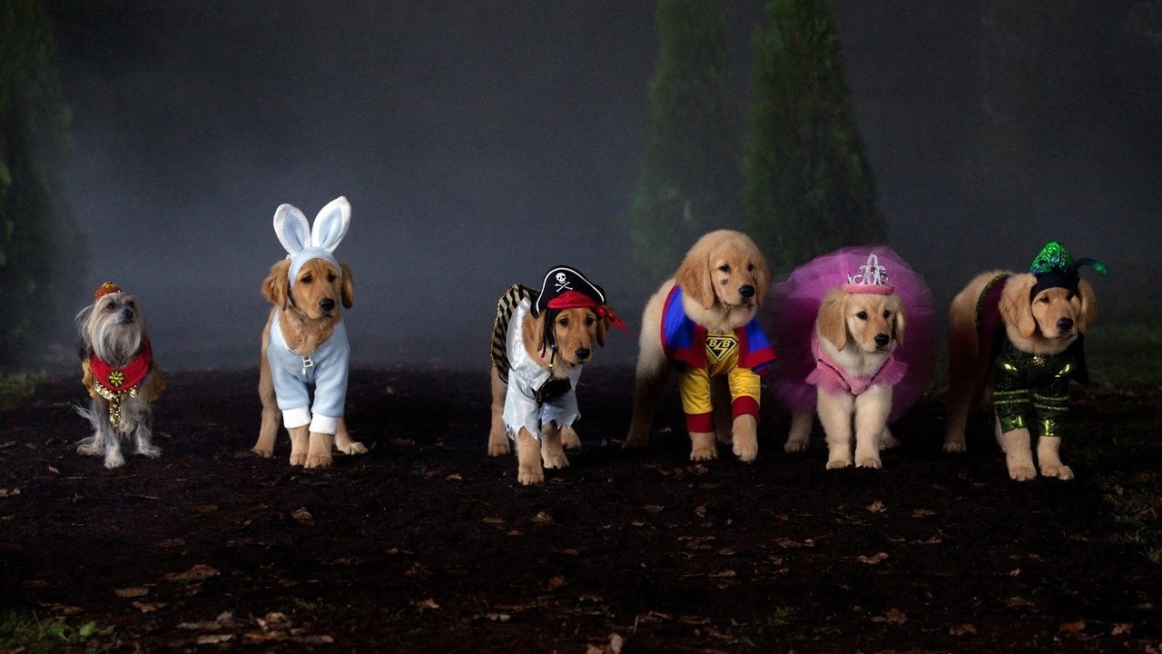 Backdrop image for movie Spooky Buddies
