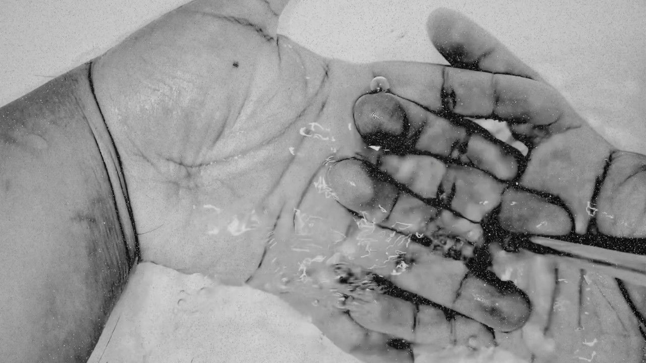 Backdrop image for movie Dilution