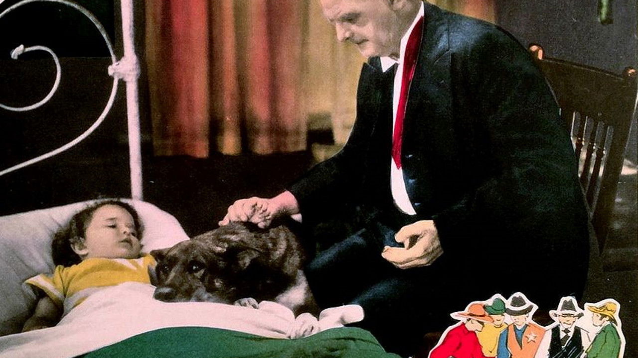 Backdrop image for movie Jaws of Steel