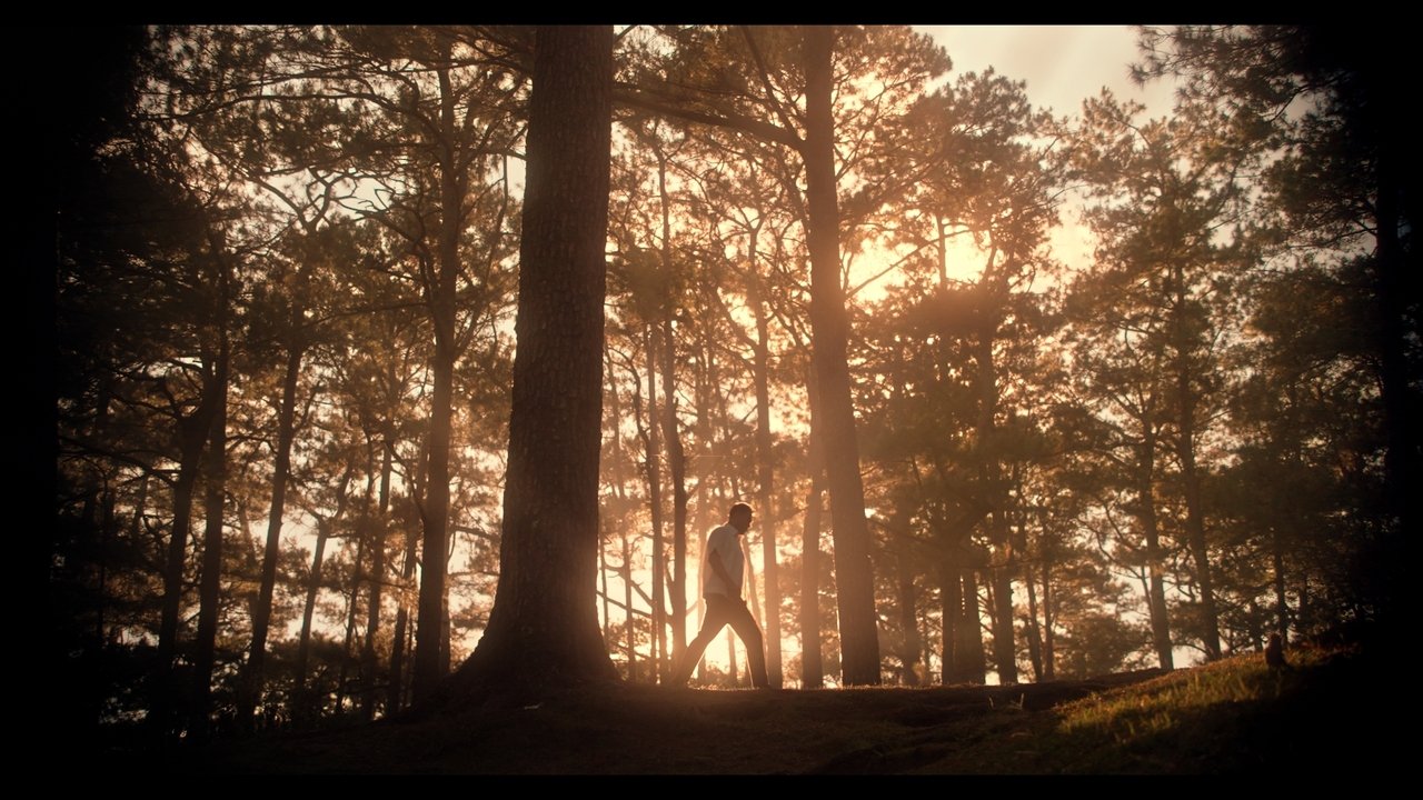 Backdrop image for movie An Errand