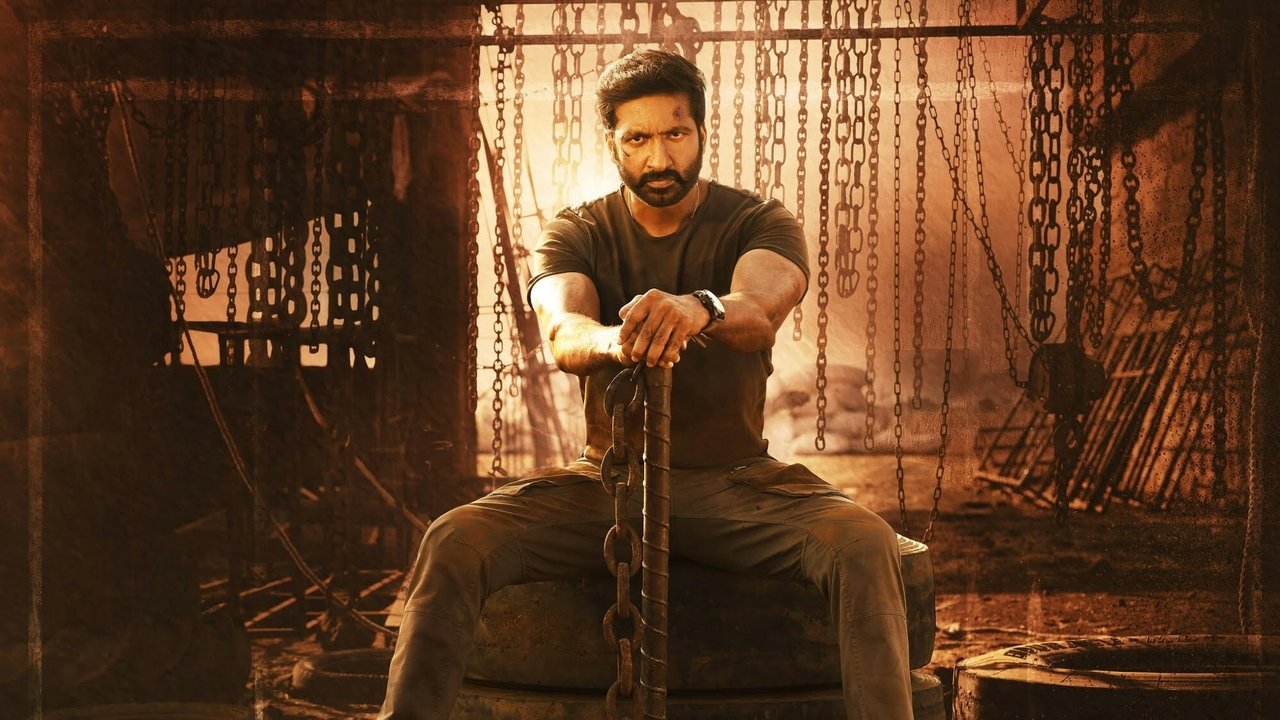 Backdrop image for movie Seetimaarr