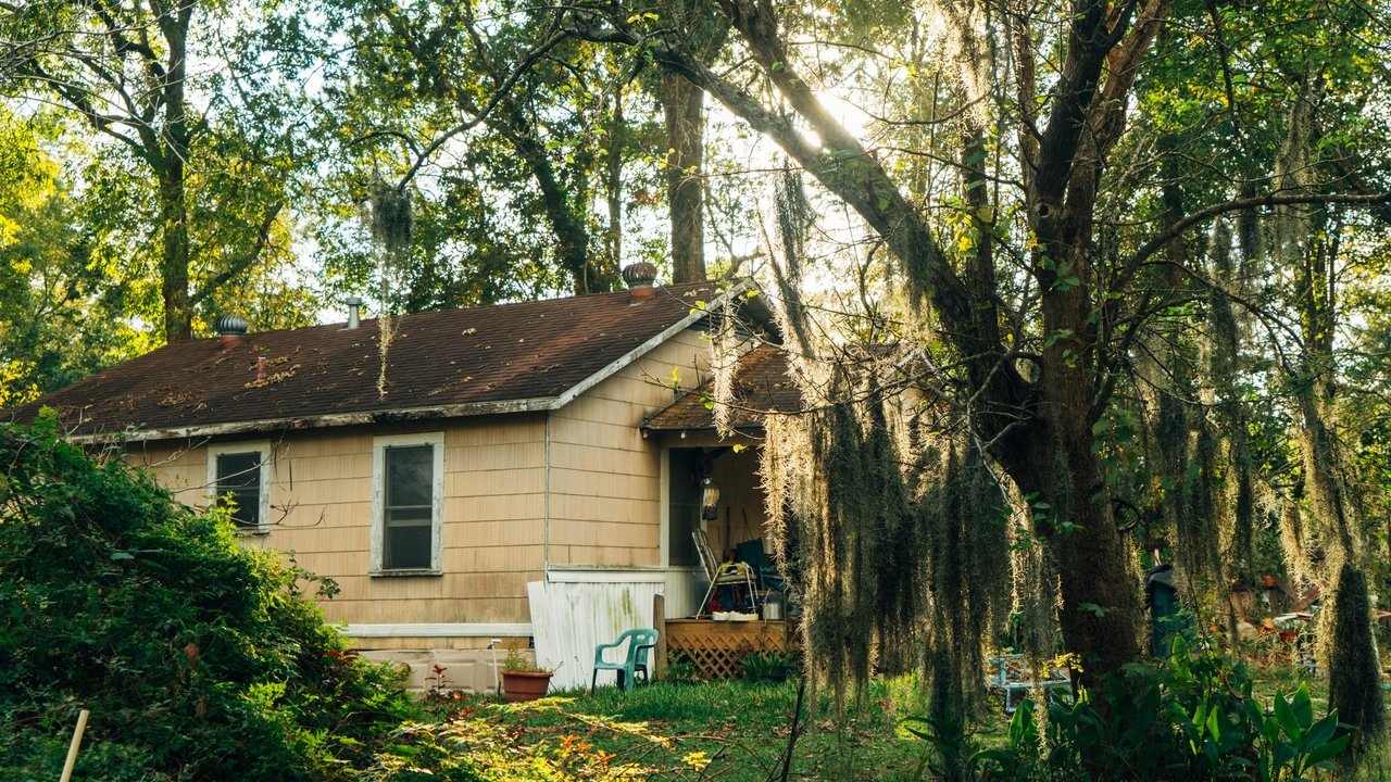 Backdrop image for movie Mossville: When Great Trees Fall