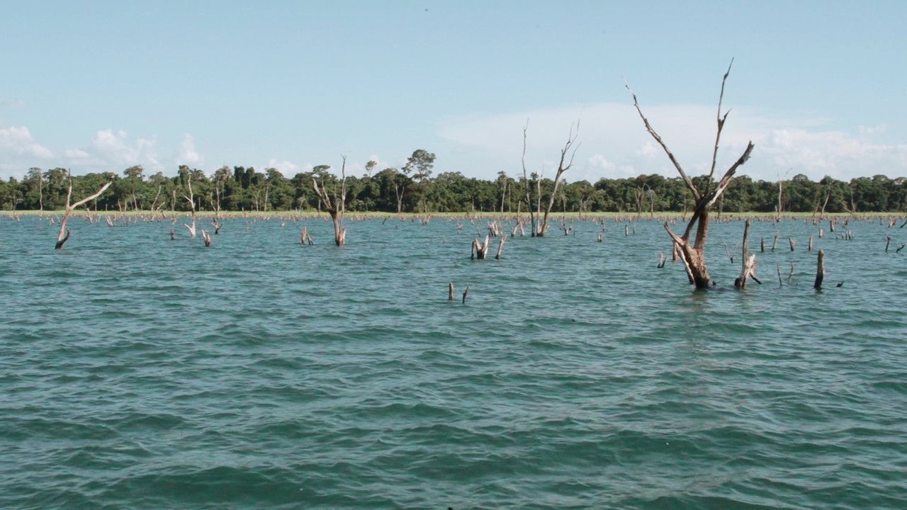 Backdrop image for movie I Remember My Mom