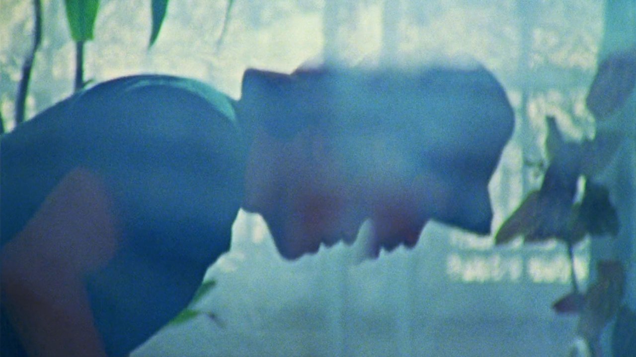 Backdrop image for movie Fidel