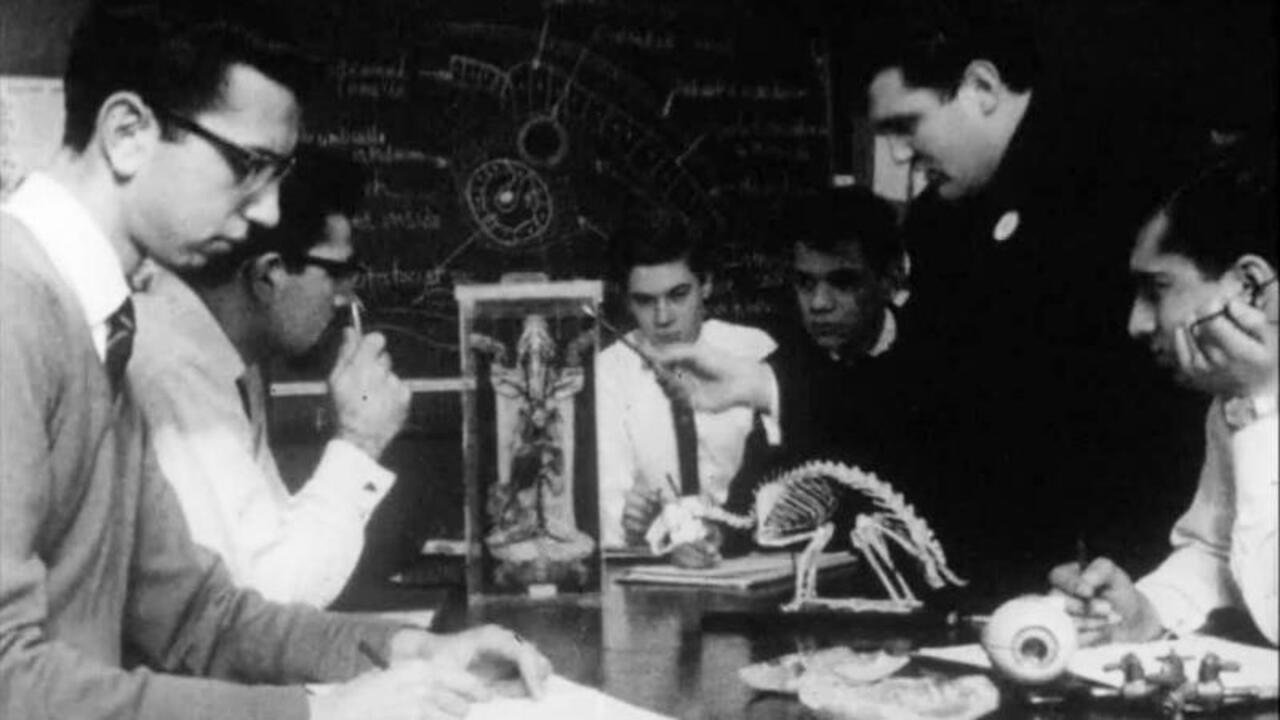 Backdrop image for movie Comprehensive School