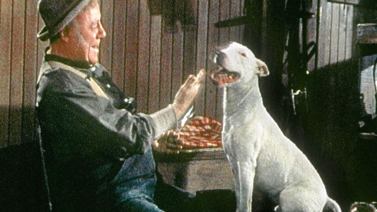 Backdrop image for movie It's a Dog's Life