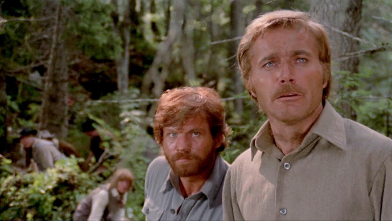Backdrop image for movie White Fang