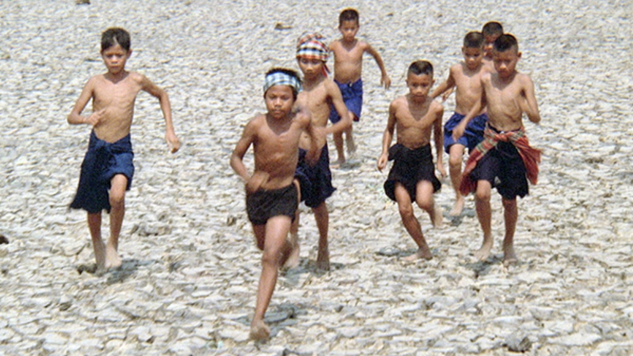 Backdrop image for movie A Son of the Northeast